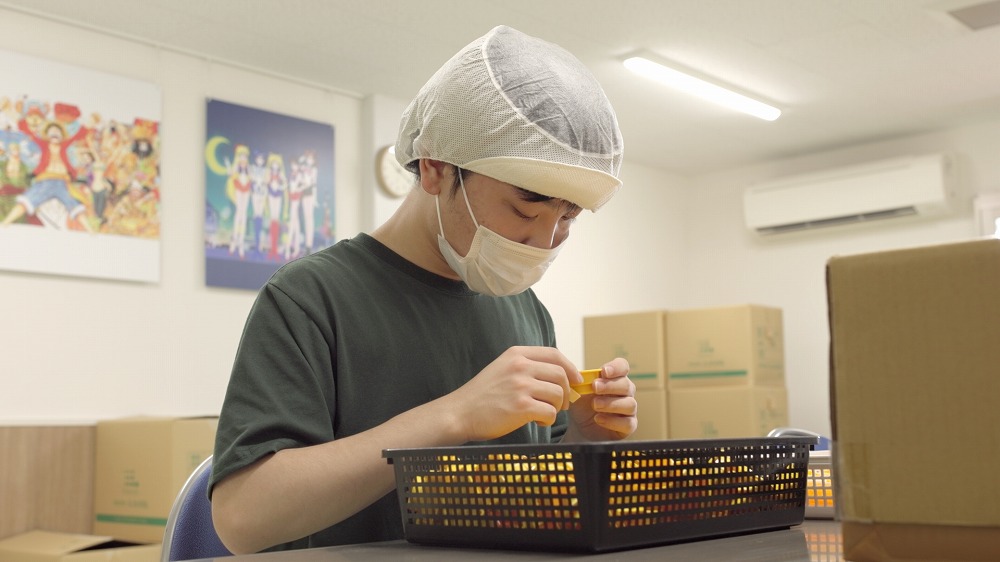 採用情報