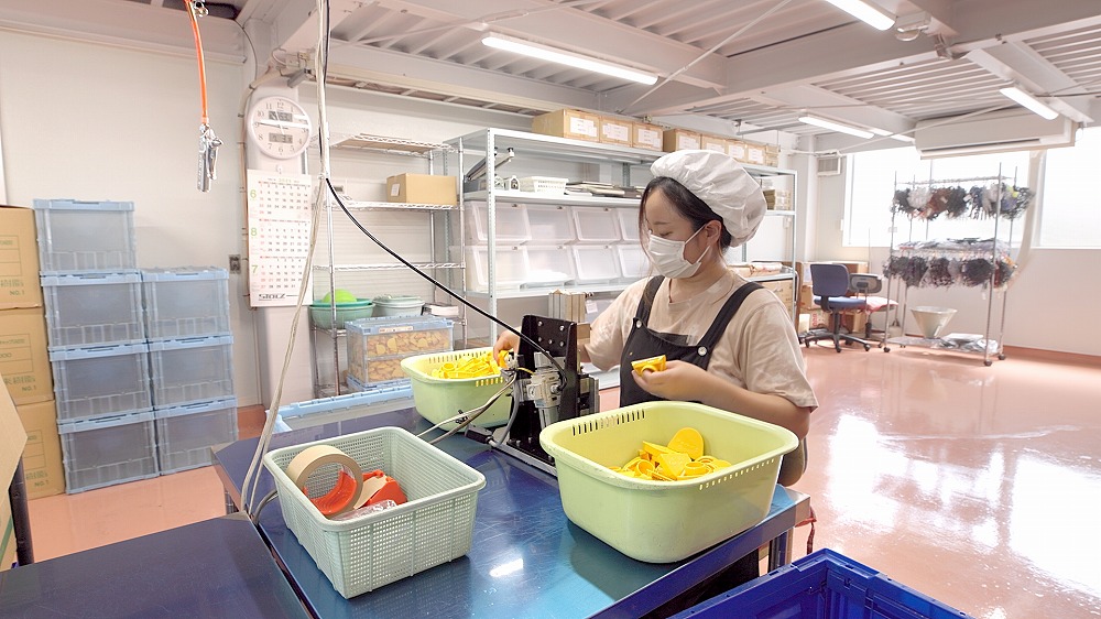 採用情報